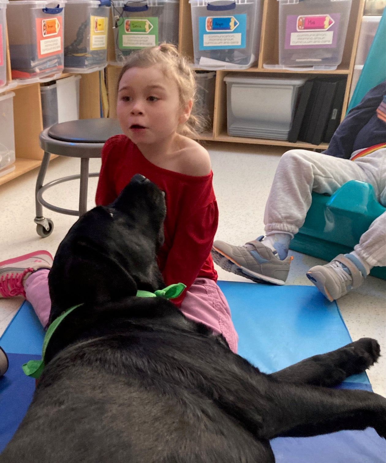 TheraPets.org’s hoodies