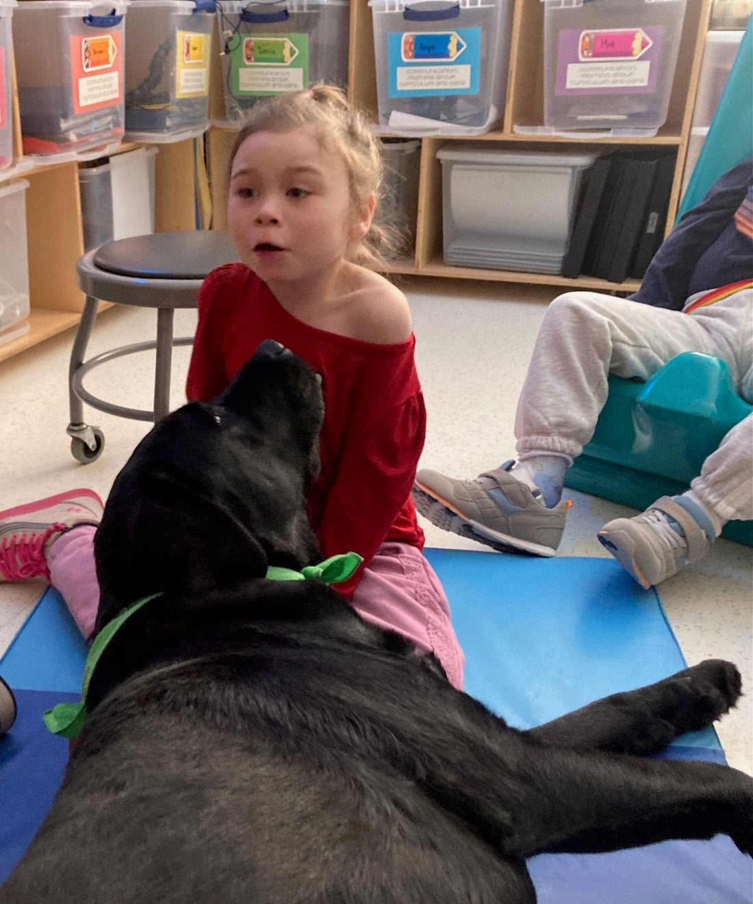 TheraPets.org’s hoodies