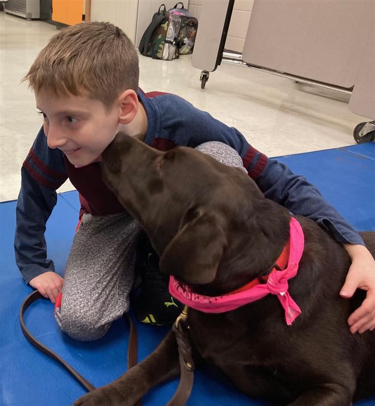 TheraPets.org Hoodie