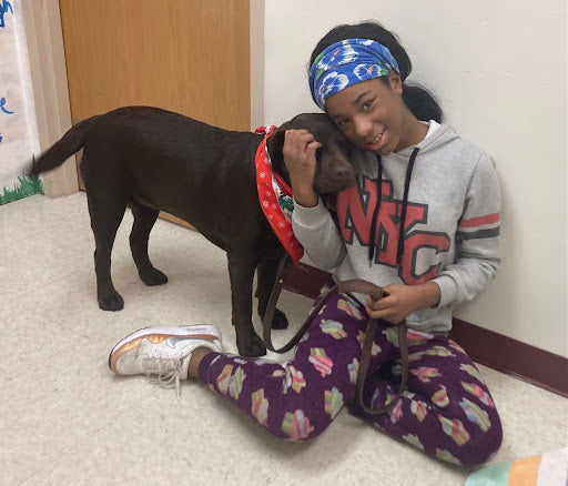 Do Therapy Dogs Really Reduce Anxiety in Special Ed Classrooms? Evidence & Practical Tips