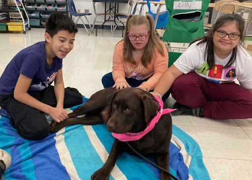 Animal-Assisted Programs in Schools
